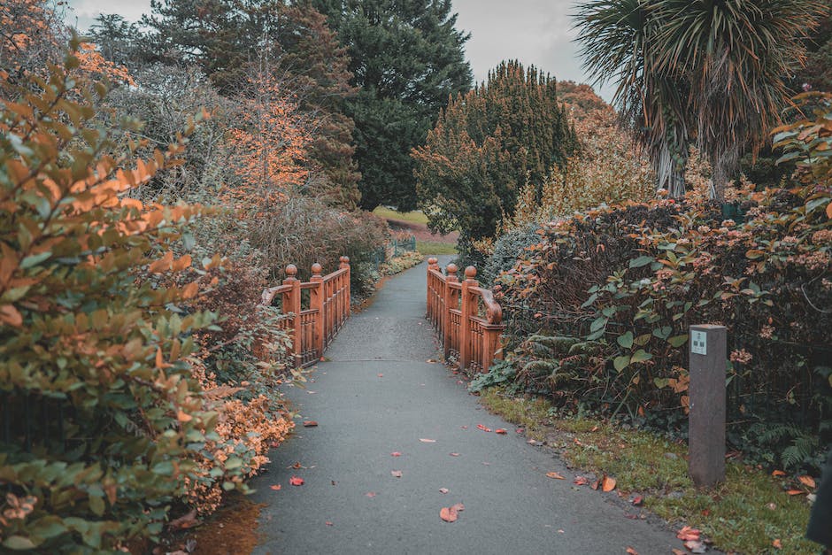 Temperaturen im November in Madeira